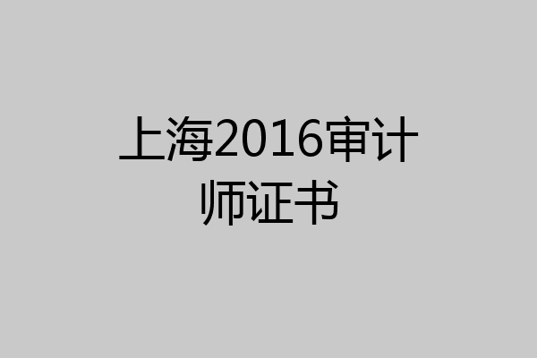 上海2016审计师证书