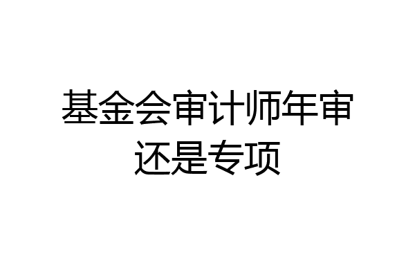 基金会审计师年审还是专项