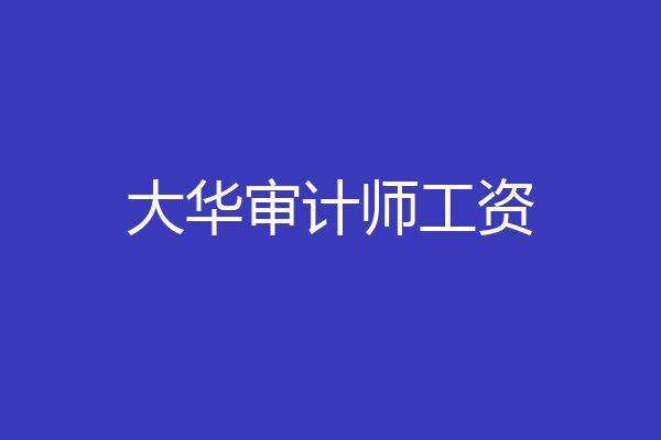 大华审计师工资