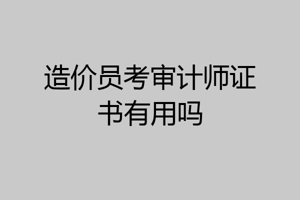 造价员考审计师证书有用吗