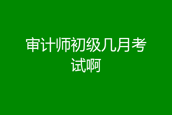 审计师初级几月考试啊
