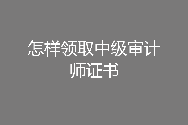 怎样领取中级审计师证书