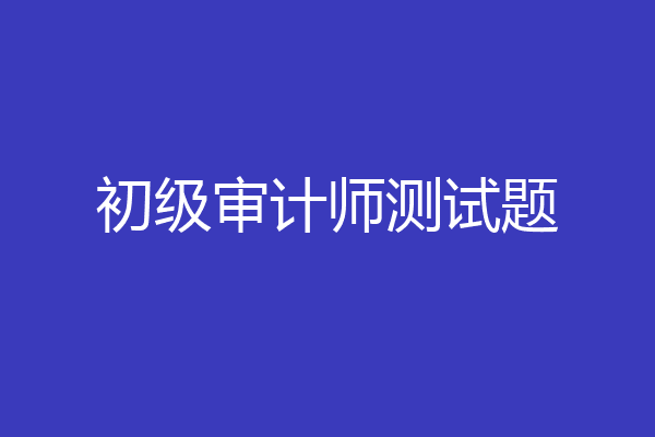 初级审计师测试题
