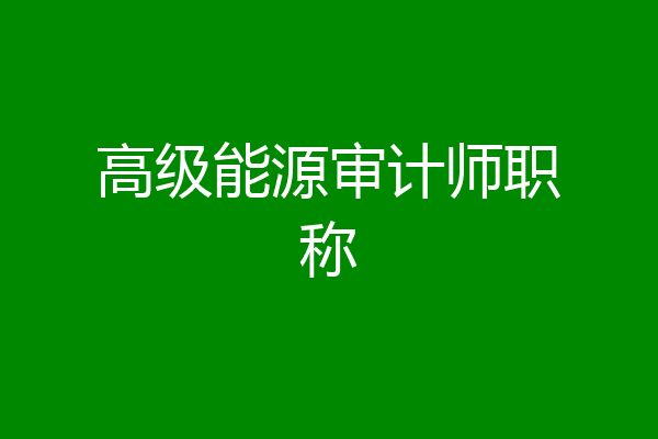 高级能源审计师职称