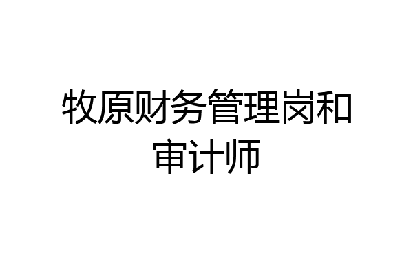 牧原财务管理岗和审计师