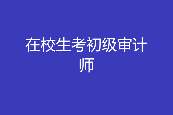 在校生考初级审计师