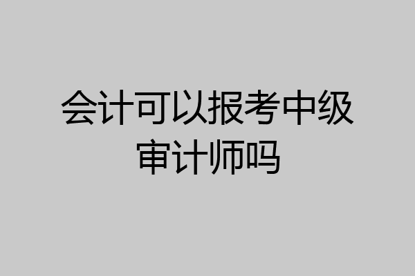 会计可以报考中级审计师吗