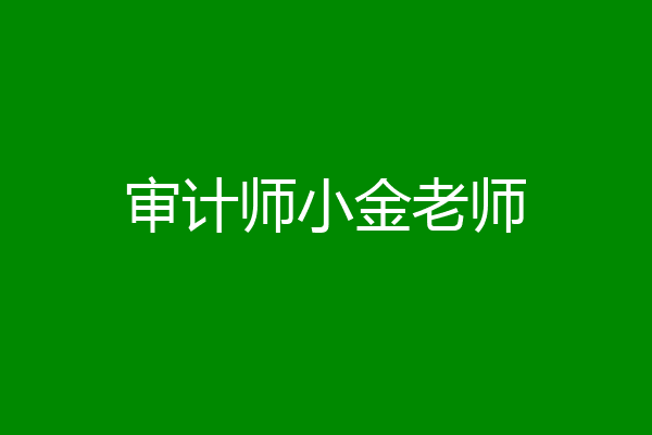 审计师小金老师