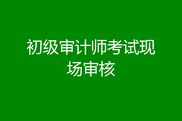 初级审计师考试现场审核