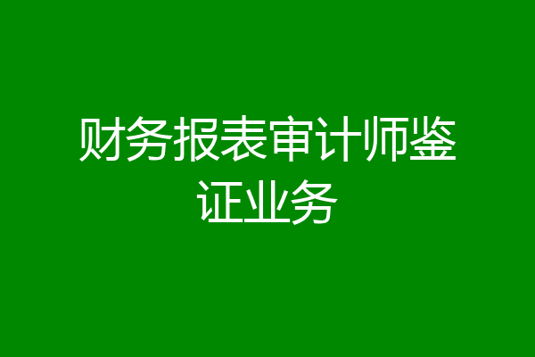 财务报表审计师鉴证业务