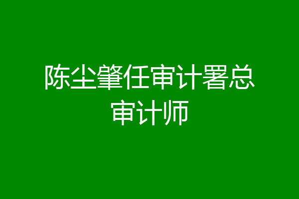 陈尘肇任审计署总审计师