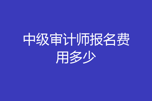 中级审计师报名费用多少