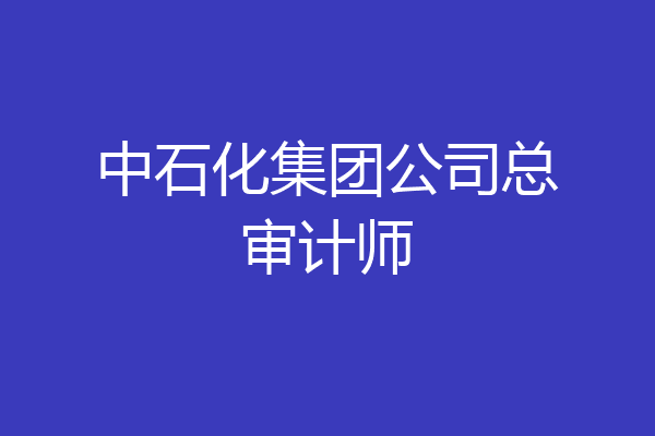 中石化集团公司总审计师