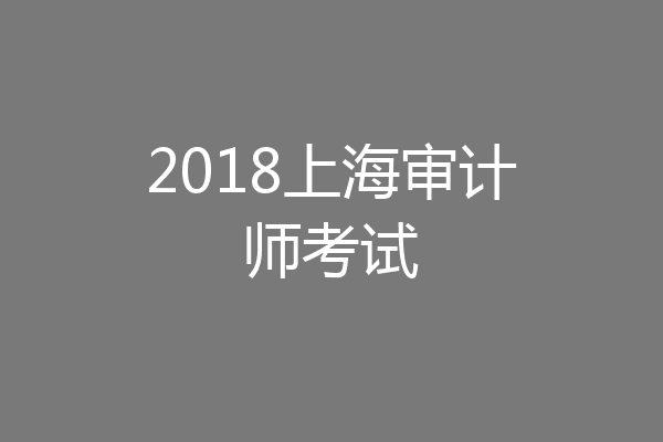 2018上海审计师考试