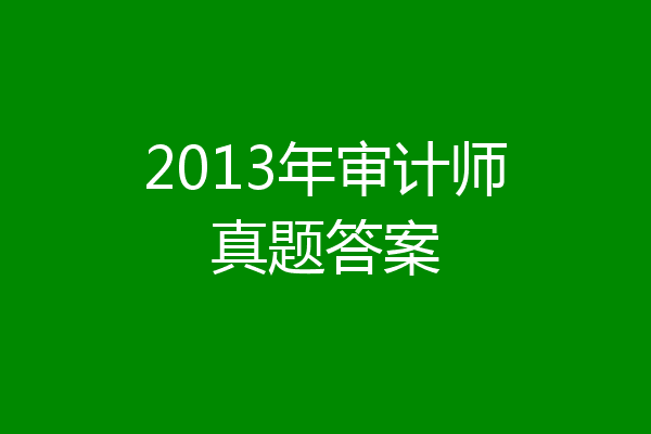 2013年审计师真题答案