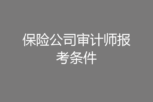 保险公司审计师报考条件