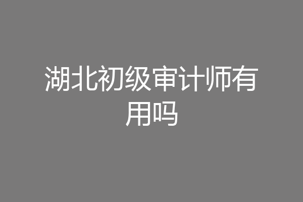 湖北初级审计师有用吗