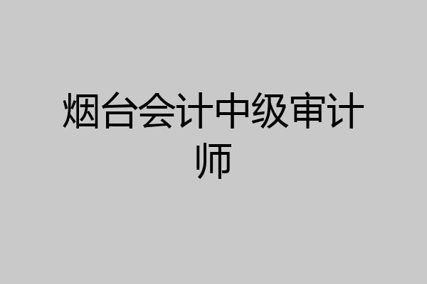 烟台会计中级审计师