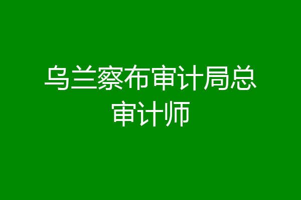 乌兰察布审计局总审计师