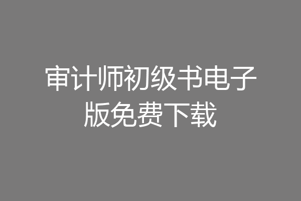 审计师初级书电子版免费下载