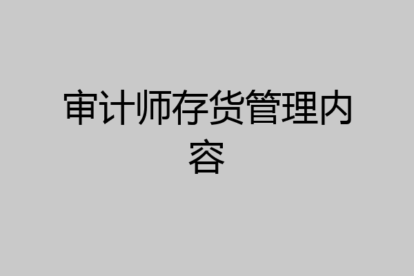 审计师存货管理内容