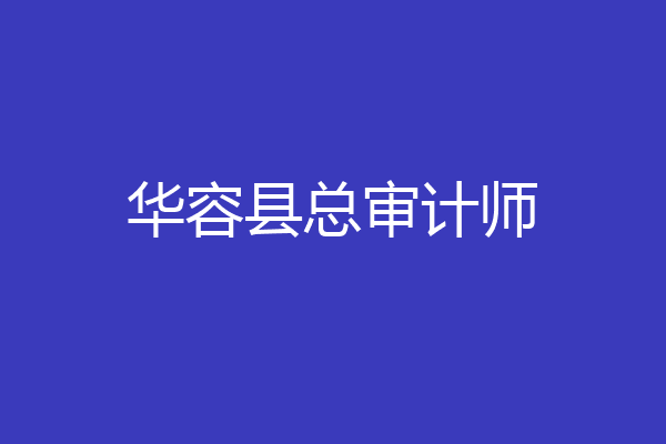 华容县总审计师