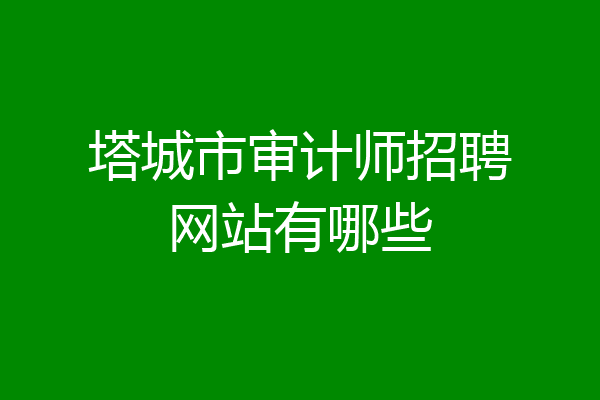 塔城市审计师招聘网站有哪些
