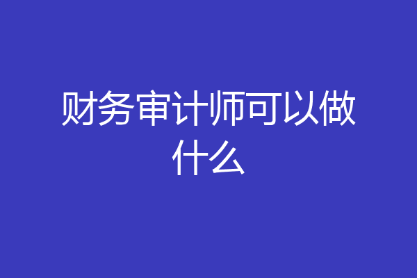 财务审计师可以做什么