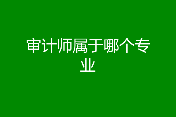 审计师属于哪个专业