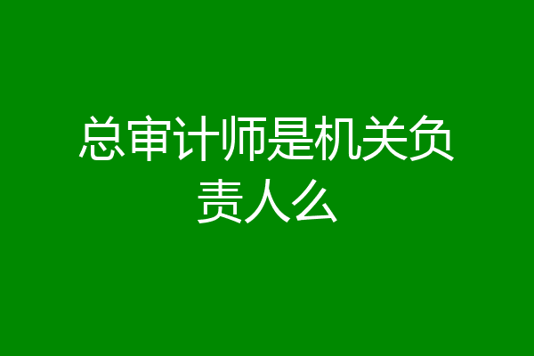 总审计师是机关负责人么