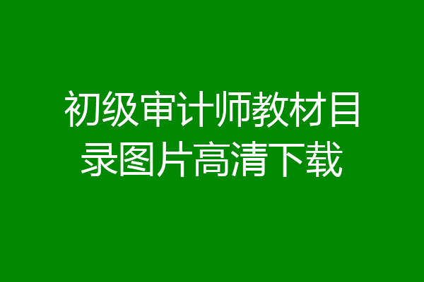 初级审计师教材目录图片高清下载