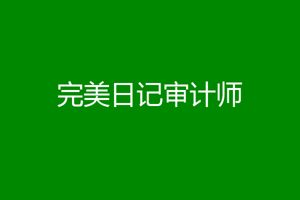 完美日记审计师