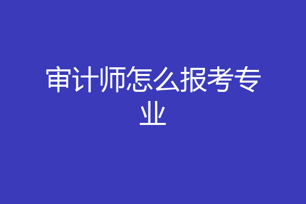 审计师怎么报考专业