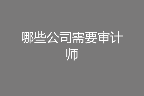 哪些公司需要审计师
