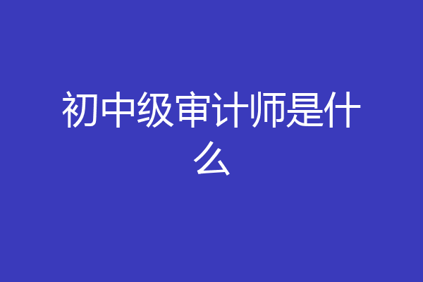 初中级审计师是什么
