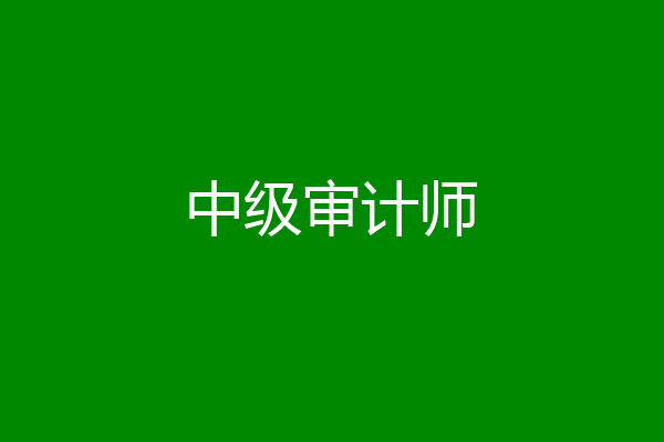 中级审计师