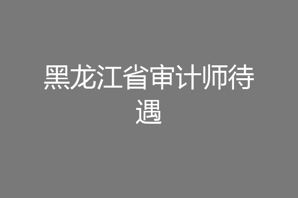 黑龙江省审计师待遇