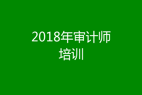 2018年审计师培训