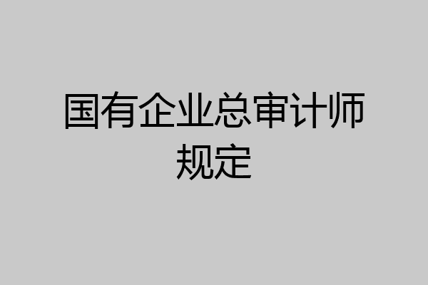 国有企业总审计师规定