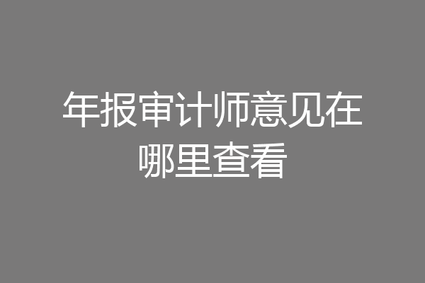 年报审计师意见在哪里查看