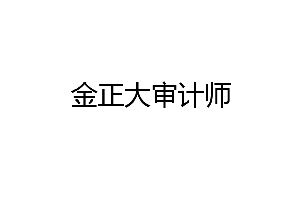 金正大审计师