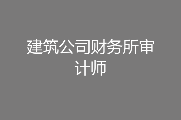 建筑公司财务所审计师