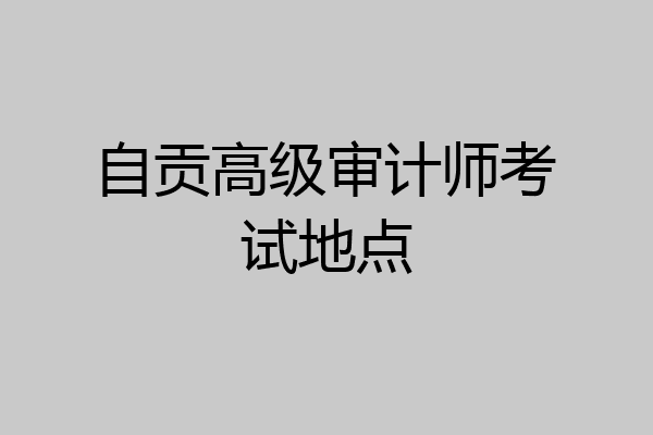 自贡高级审计师考试地点