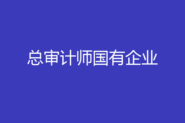 总审计师国有企业