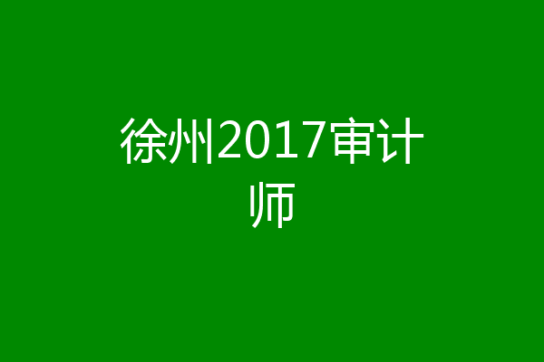 徐州2017审计师