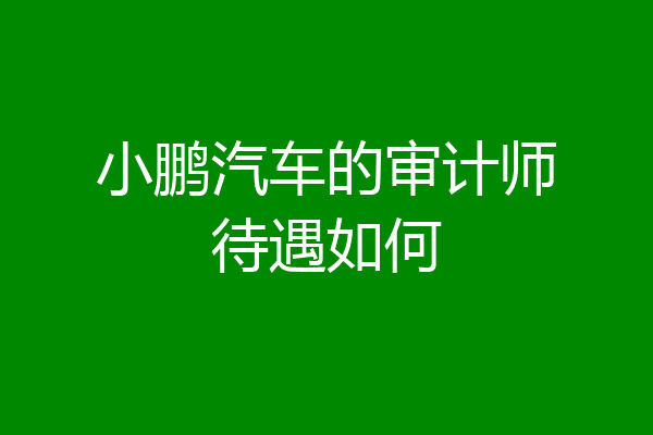 小鹏汽车的审计师待遇如何