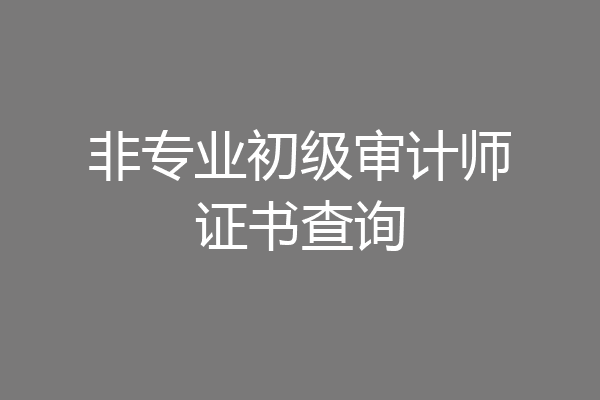 非专业初级审计师证书查询