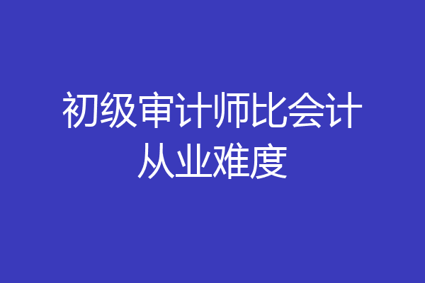 初级审计师比会计从业难度