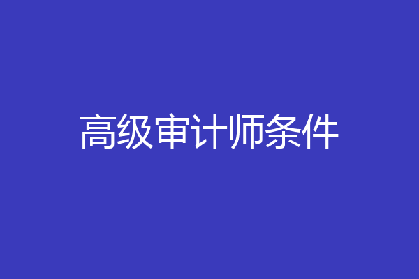 高级审计师条件