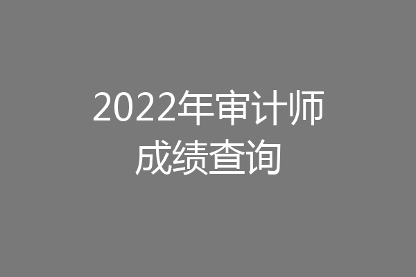 2022年审计师成绩查询